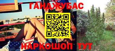 стаф Донецк
