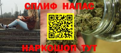 стаф Донецк
